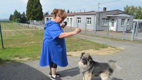 Lumpík se svou dočasnou paničkou Marcelou Zahořovou.