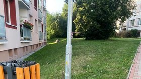 Takhle majitel Thora zanechal, uvázaného na sídlišti v Čížkovicích