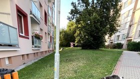Takhle majitel Thora zanechal, uvázaného na sídlišti v Čížkovicích