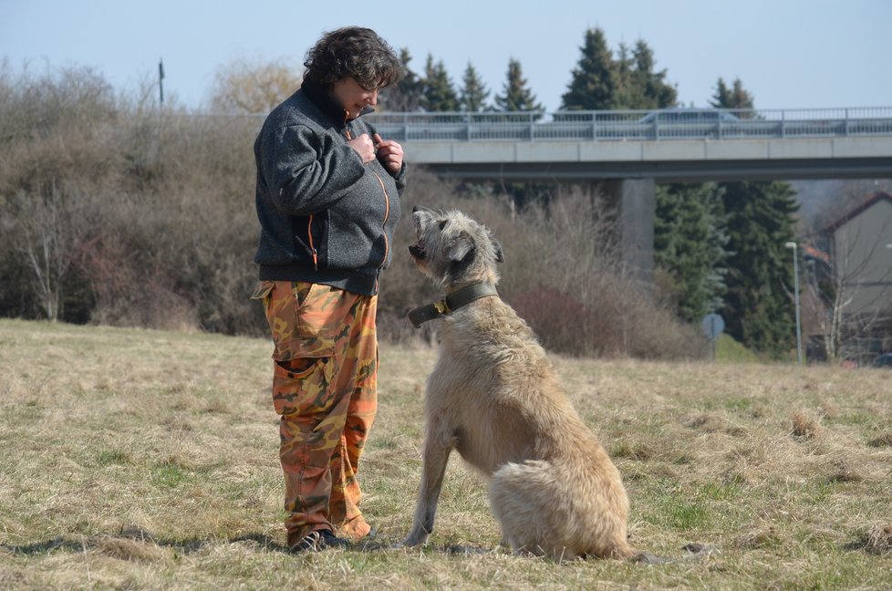 Zkušená výcvikářka si Jawankou poradila, díky ní bude z fenky skvělý parťák