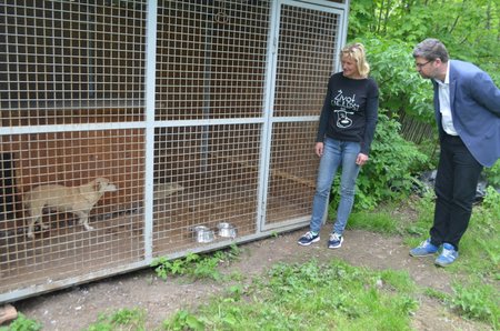 Jiří Pospíšil se za fenkou, kterou se svými spolupracovníky zachránili, přijel do azylu Alice Pekařové podívat