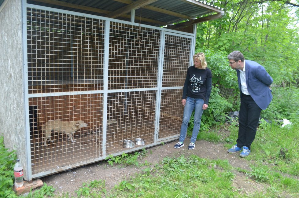 Jiří Pospíšil se za fenkou, kterou se svými spolupracovníky zachránili, přijel do azylu Alice Pekařové podívat