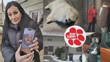 Koupili za 14 tisíc psa bez průkazu původu, po dvou měsících zemřel. Kde byla chyba?