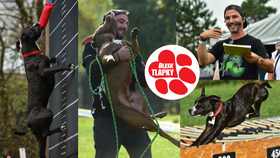 Blackie bude na festivalu Blesk tlapek předvádět bull sporty.