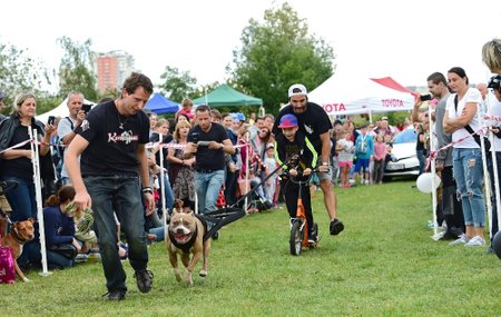 Daniel Žďárský předvede na festivalu ukázky bull sportů