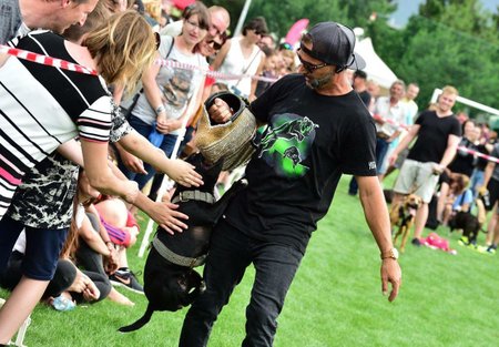 Festival bude spolumoderovat Daniel Žďárský, který předvede i ukázky bull sportů