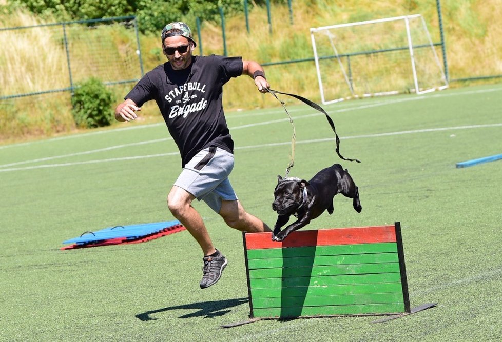 Daniel Žďárský předvede na festivalu ukázky bull sportů