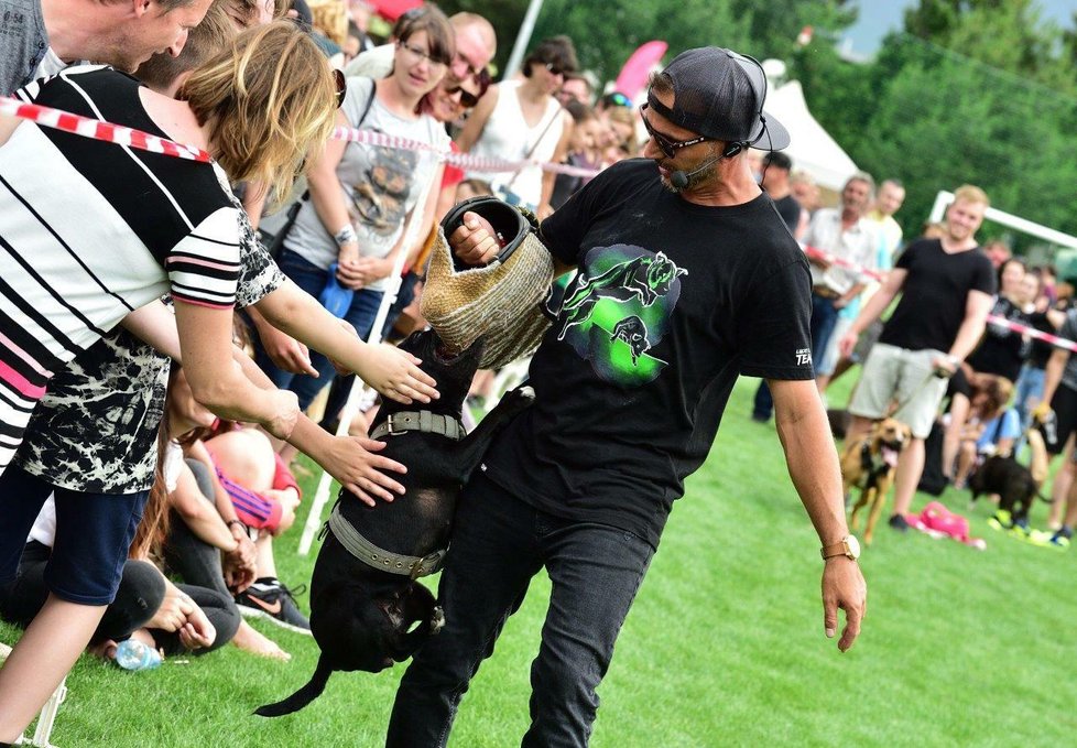 Daniel Žďárský předvede na festivalu ukázky bull sportů