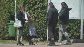 Pavlína Dvořáková se s figuranty Blesk tlapek sešla v Psárech před městským úřadem. Reportérky celý obchod zdokumentovaly