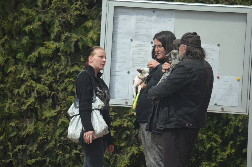 Blesk tlapky od Pavlíny Dvořákové koupily prostřednictvím figurantů čivavy, jedna z nich byla slepá, což množitelka zatajila