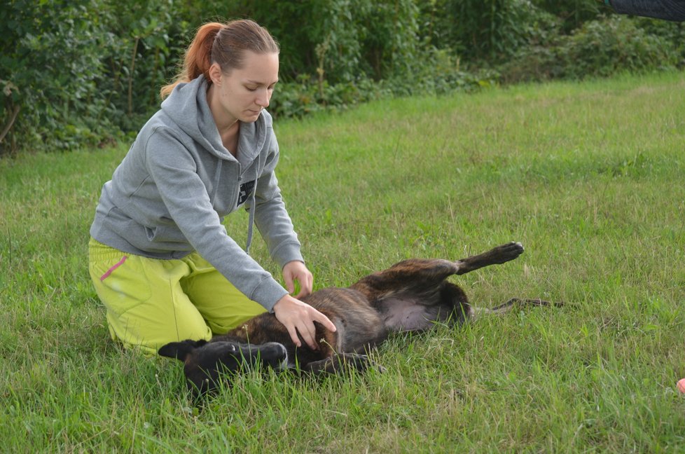 Kateřina Šponarová ukáže, jak psa správně resuscitovat