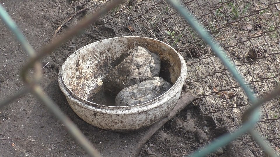 Takhle vypadala miska na vodu pro slepice