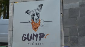 Filip Rožek a jeho pes Gump stojí za celým projektem
