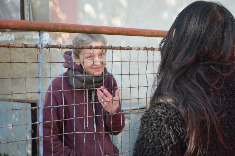 Dcera Klára zvířecím záchranářům i reportérkám Blesk tlapek tvrdila, že na tři psy zapomněly. Později přiznala, že je schovaly.