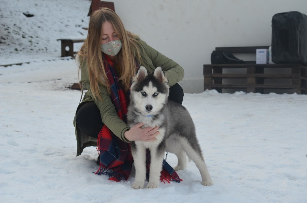 Členky spolku na množitelku upozornily Krajskou veterinární správu