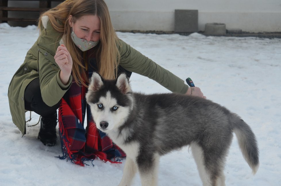 Členky spolku na množitelku upozornily Krajskou veterinární správu