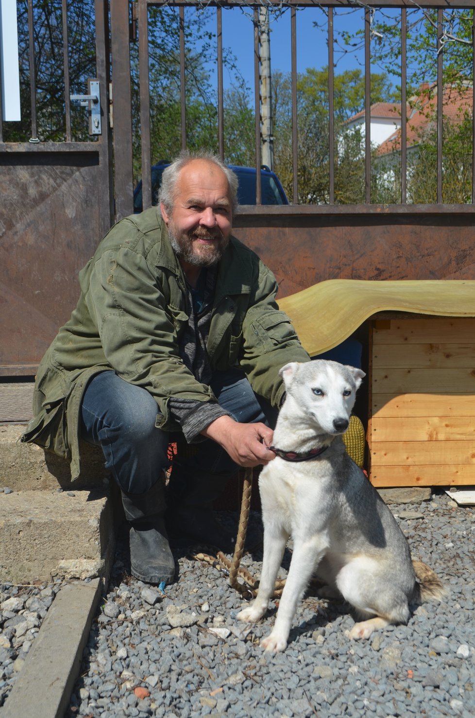 Většina odebraných psů husky už je ale připravena odejít do nových domovů