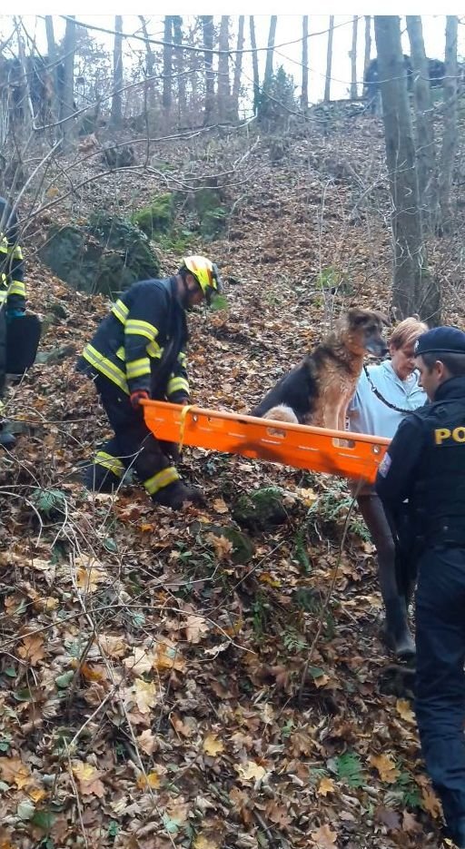 Fenky byly tak zesláblé, že je z chaty snášeli záchranáři v nosítkách a dekách