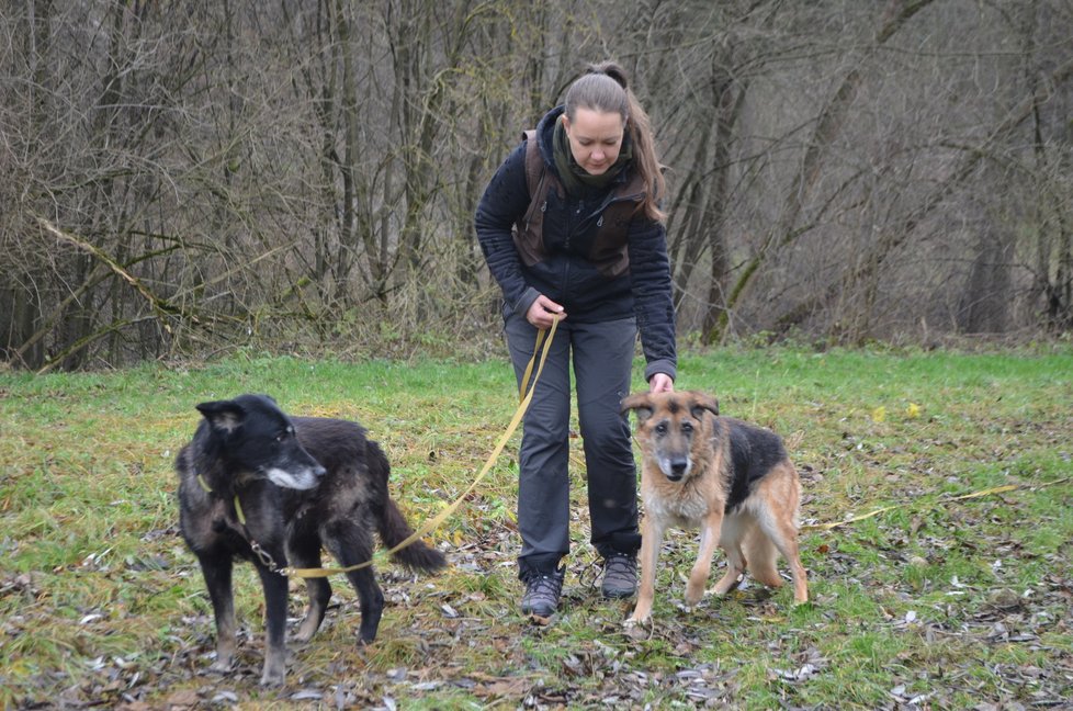 Obě fenky jsou zesláblé, vycházky si ale užívají