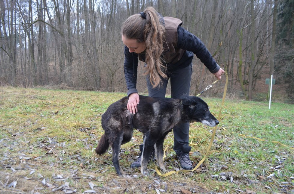 Mladší Ája je olysalá, má píštěly a nádor u konečníku