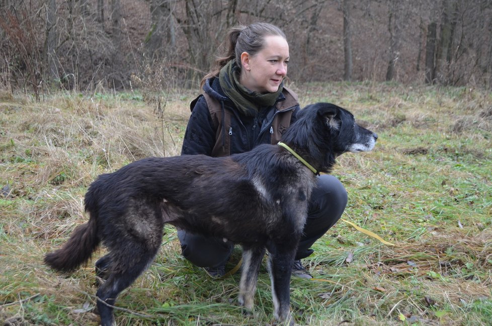 Ája by potřebovala trvalý domov. Péči o ni bude doživotně hradit spolek