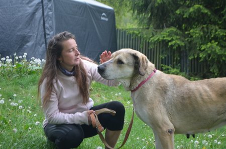 Týraní kangalové jsou teď v bezpečí u provozovatelky útulku v Horní Hraničné Marie Lokingové