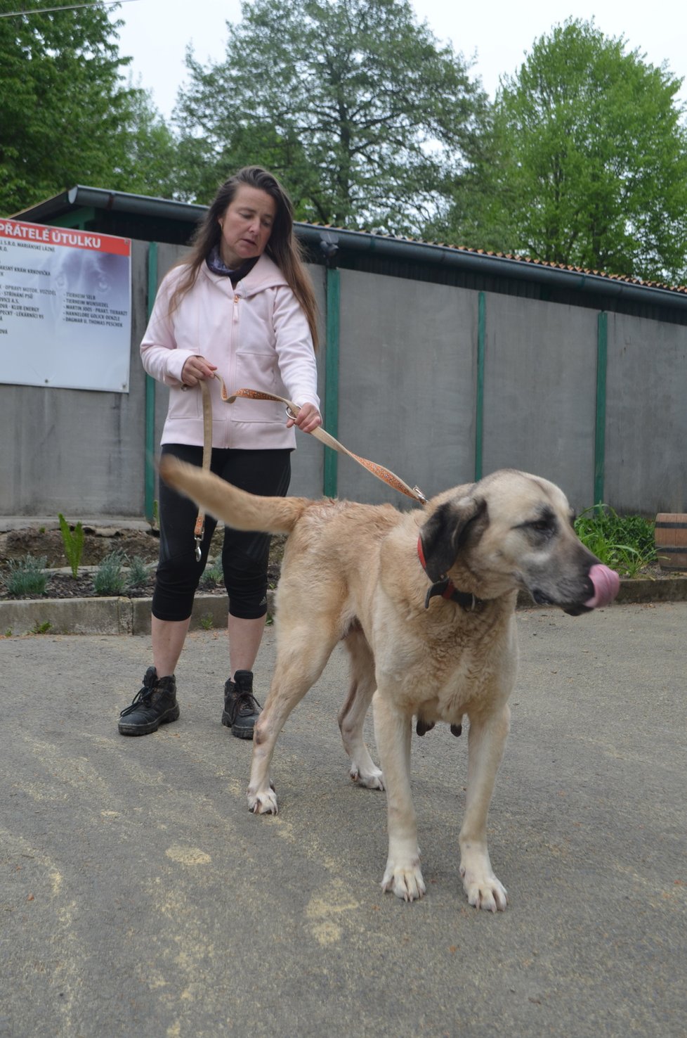 Týraní kangalové jsou teď v bezpečí u provozovatelky útulku v Horní Hraničné Marie Lokingové.