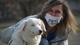 Typickým produktem množitelů je i kříženka Polárka, která v sobě nese double merle gen. Je proto hluchá a postupně slepne. Na Bazoši byla několikrát přeprodávána.