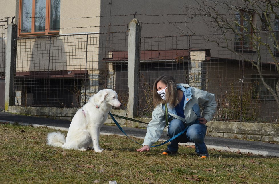 Dokud ještě Polárka trochu vidí, učí ji její dočaskářka povely posunky