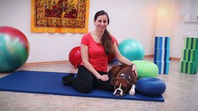 Kateřina Boháčová provozuje psí masáže a rehabilitace od roku 2015