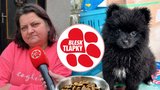 Prodávali 10 štěňat měsíčně. Rodinu množitelky Kinské potrestal soud za nedovolené podnikání