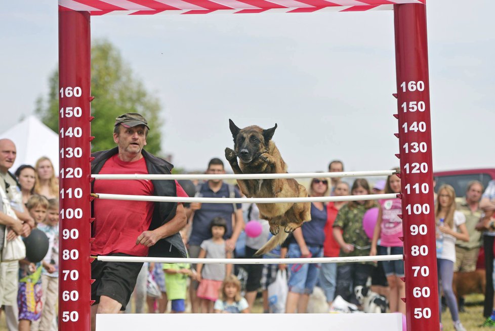 Připraven je i psí skok do výšky