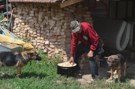 V tom, že psi napadají jeho i sebe navzájem majitel problém nevidí. Reportérky viděly na místě zraněnou fenu s obrovskou otevřenou ranou na hlavě, kterou nenechal ošetřit