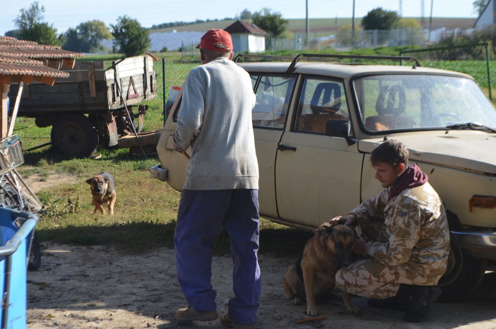 Jiří Šembera to se psy umí, senior mu ale zpočátku v jejich odběru bránil