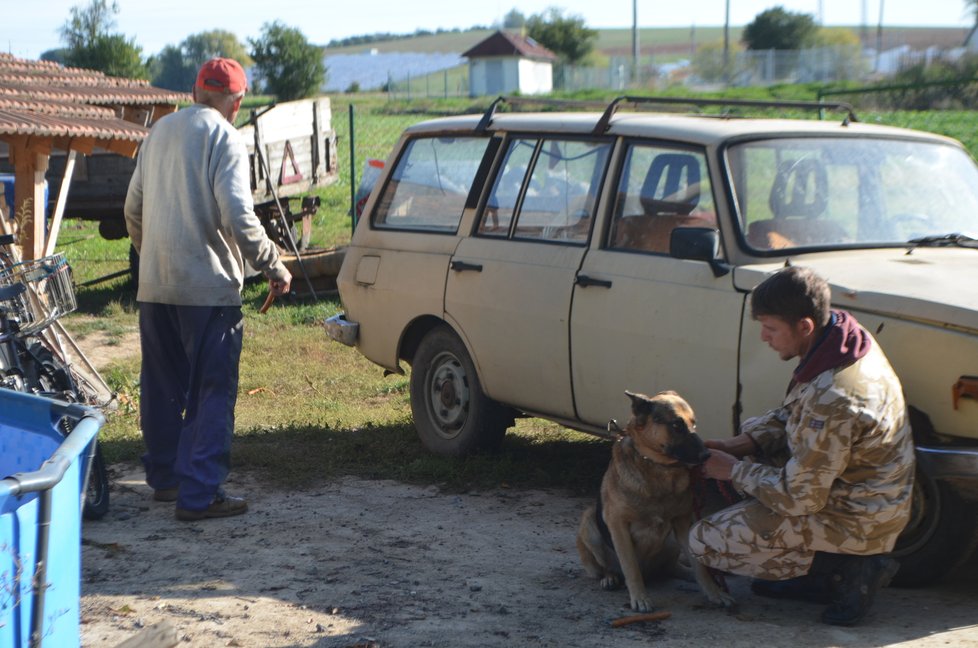 Jiří Šembera to se psy umí, senior mu ale zpočátku v jejich odběru bránil