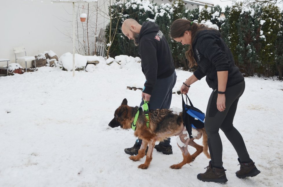 Radka se svým přítelem se snaží vysílenou Zairu rozchodit