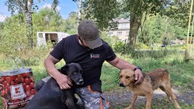 Dobrovolník Petr Maleček ujel se psy 400 kilometrů. Z toho, co na místě viděl, byl otřesený.