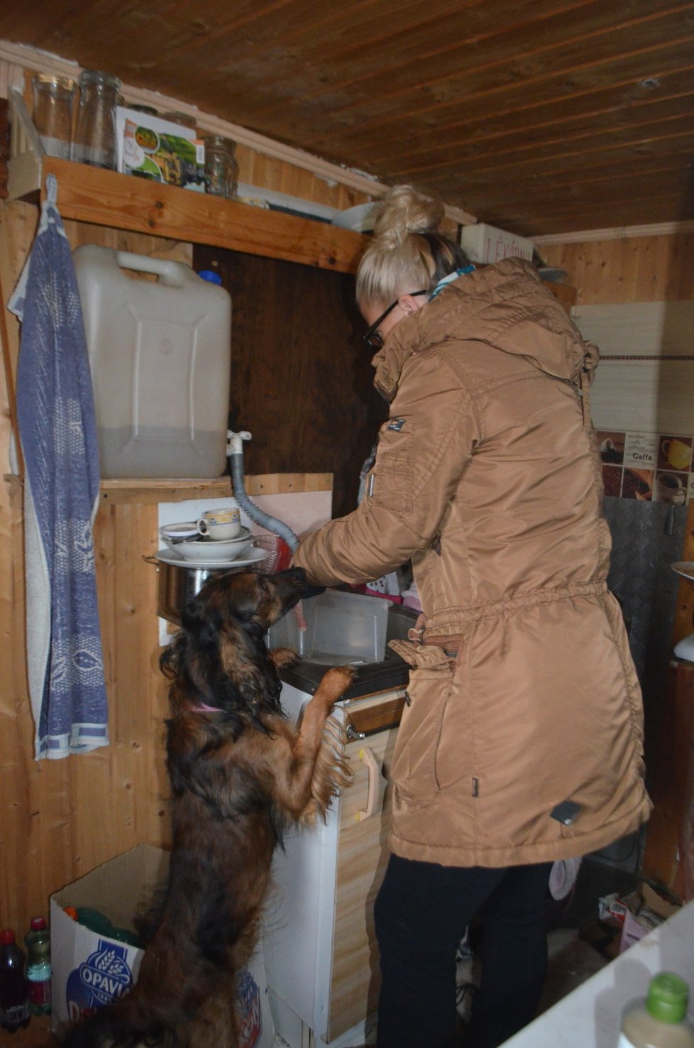Psi byli v chatě bez vody, reportérky a záchranáři jim hned na místě dali napít