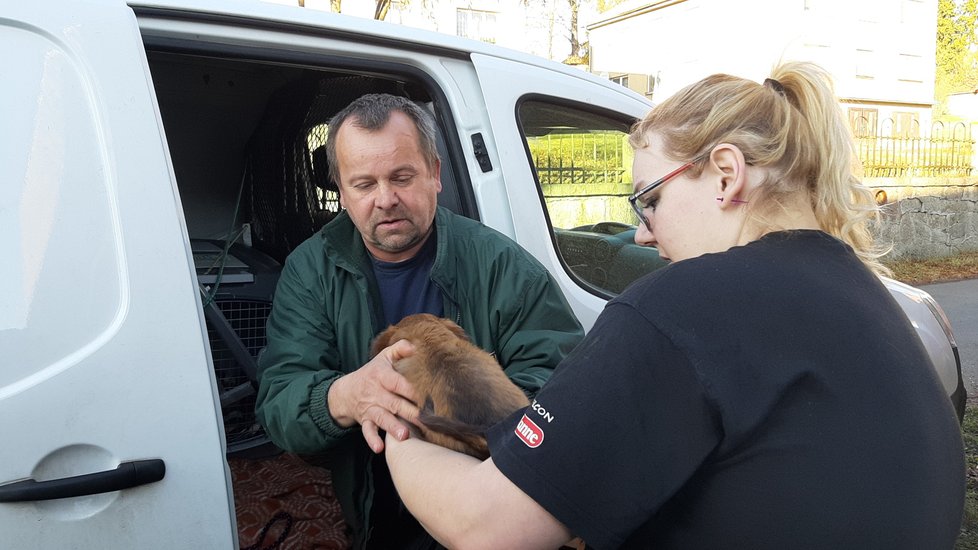 Poslední část psů měla u sebe Veronika Lišková, která je předala zvířecím záchranářům