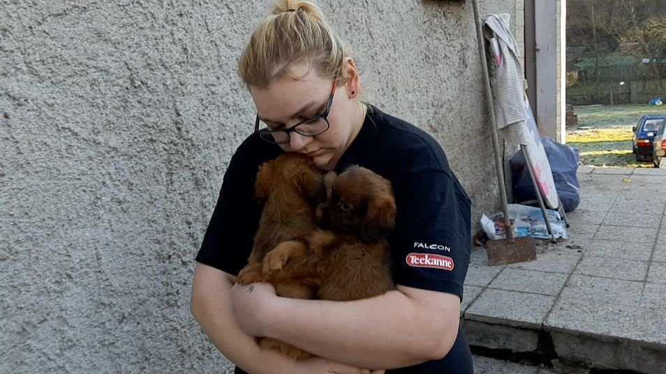 Poslední část psů měla u sebe Veronika Lišková, která je předala zvířecím záchranářům