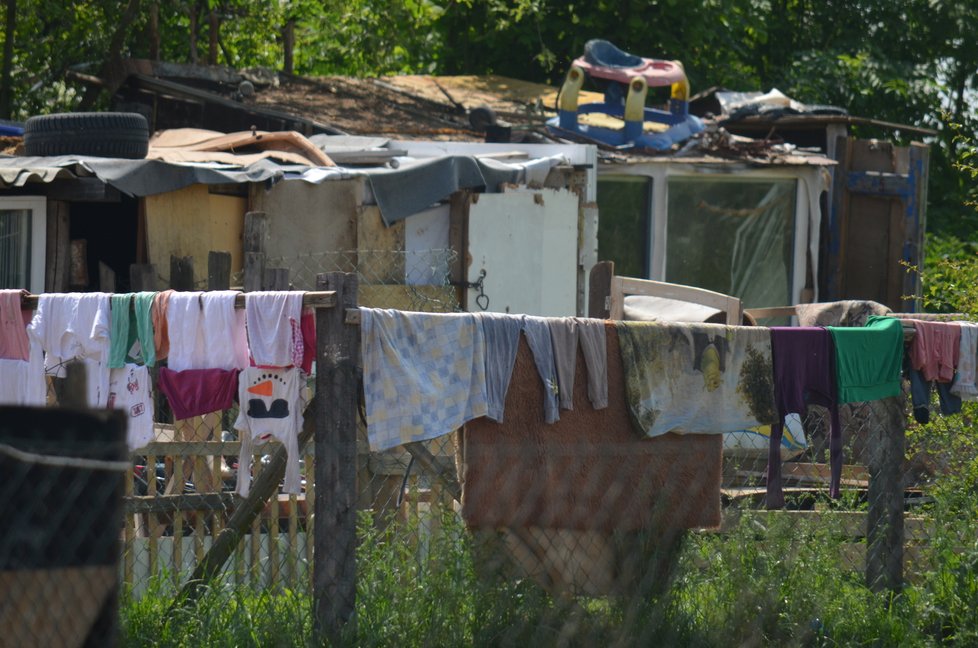 Všude kolem domu ve Sběři jsou provizorní kotce, většin psů teď ale rodina drží podle svědkyně zavřené v domě