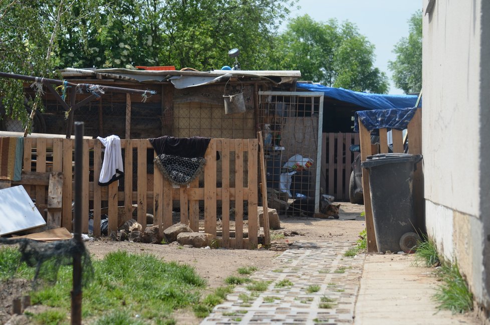 Všude kolem domu ve Sběři jsou provizorní kotce, většin psů teď ale rodina drží podle svědkyně zavřené v domě