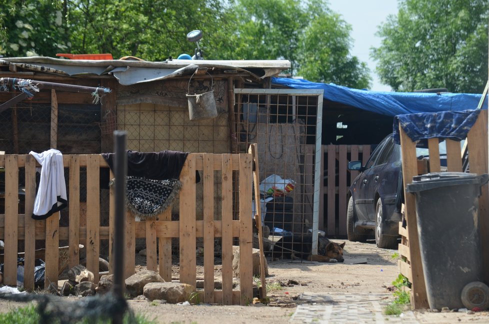 Všude kolem domu ve Sběři jsou provizorní kotce, většin psů teď ale rodina drží podle svědkyně zavřené v domě.