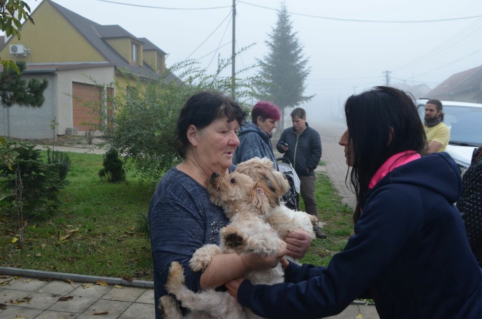 Majitelka psů Helena Škrabanová vynášela postupně z domu různě staré křížence