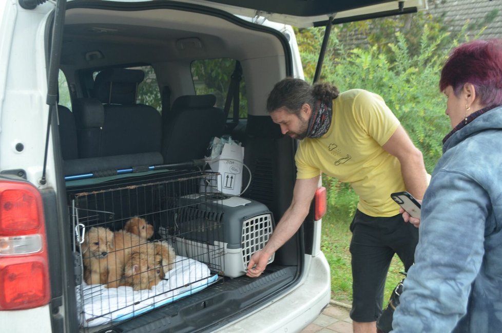 Zvířecí záchranáři přijeli dvěma dodávkami. Když se ukázalo, že psů je mnohem víc, museli na pomoc s odvozem přivolat další posily