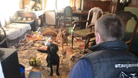 Psi byli zavřeni ve zcela zdevastovaném bytě plném odpadků a výkalů