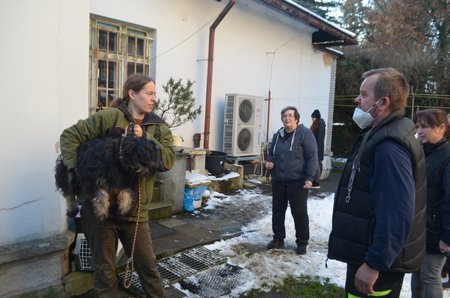 Odchycení psi putovali do dočasných péčí po celé republice