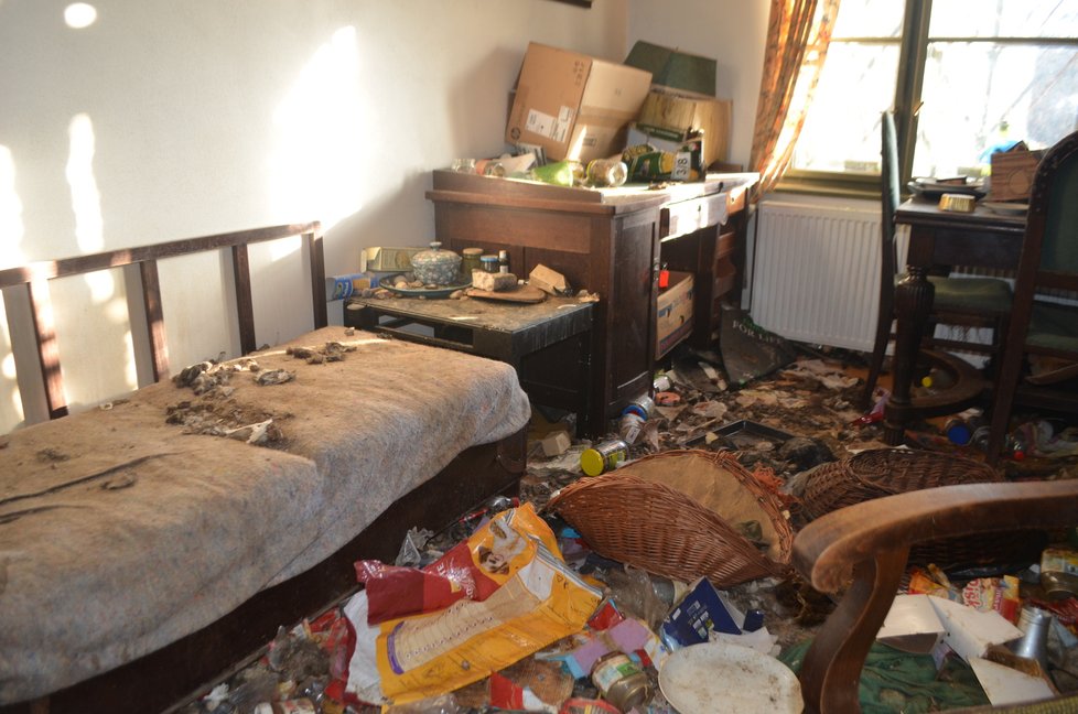 Takhle to v bytě, kde psi žili, vypadalo