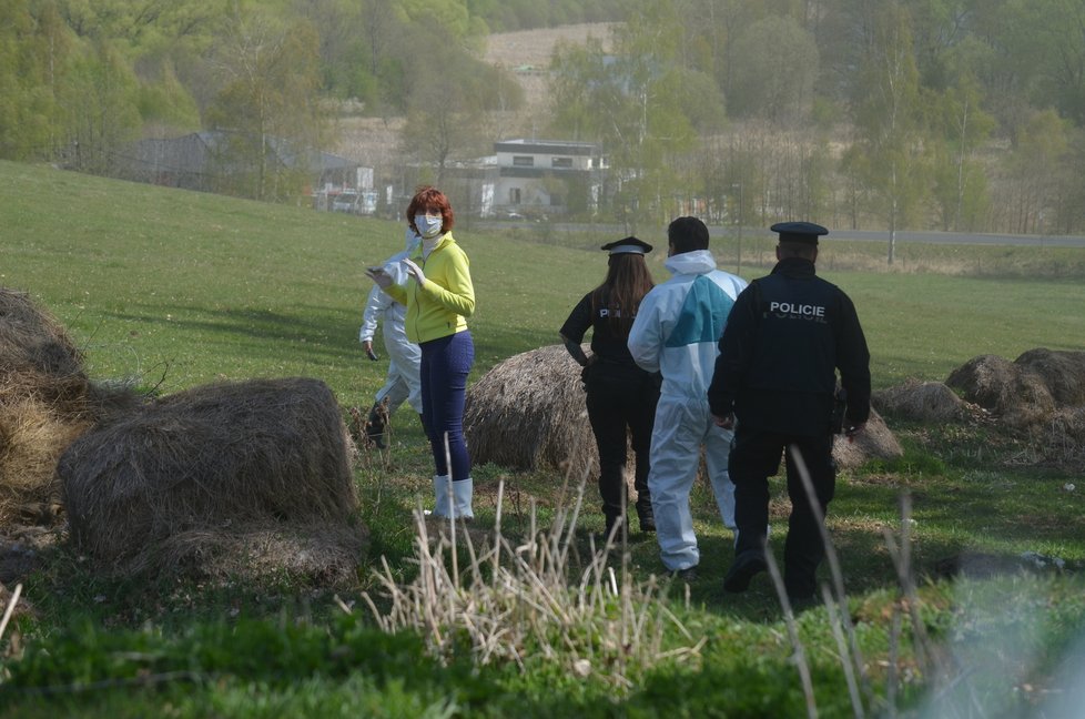 Na místě bylo několik uhynulých ovcí v různém stádiu rozkladu