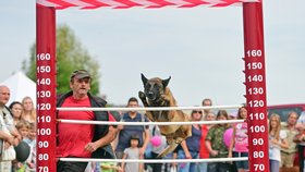 Oblíbenou částí programu jsou soutěže, například v psím skoku do výšky